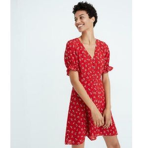 Madewell Silk Ruffle-Sleeve Button-Front Dress